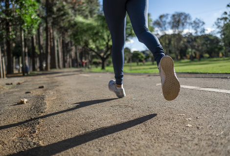 qué se necesita estudiar para ser entrenador presonal